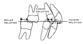 Manual Illustration